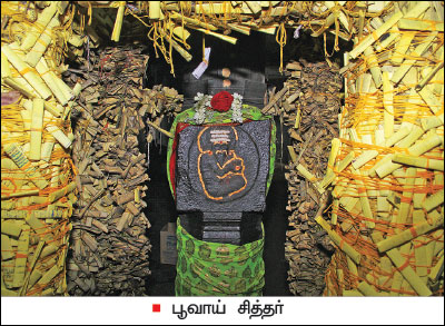 potralam poovai siddhar