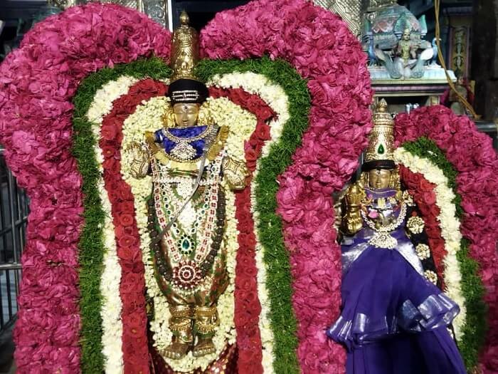 mylapore kapaleeswarar temple urchavar-amman