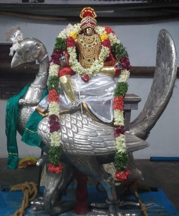 kumaramalai murugan with peacock