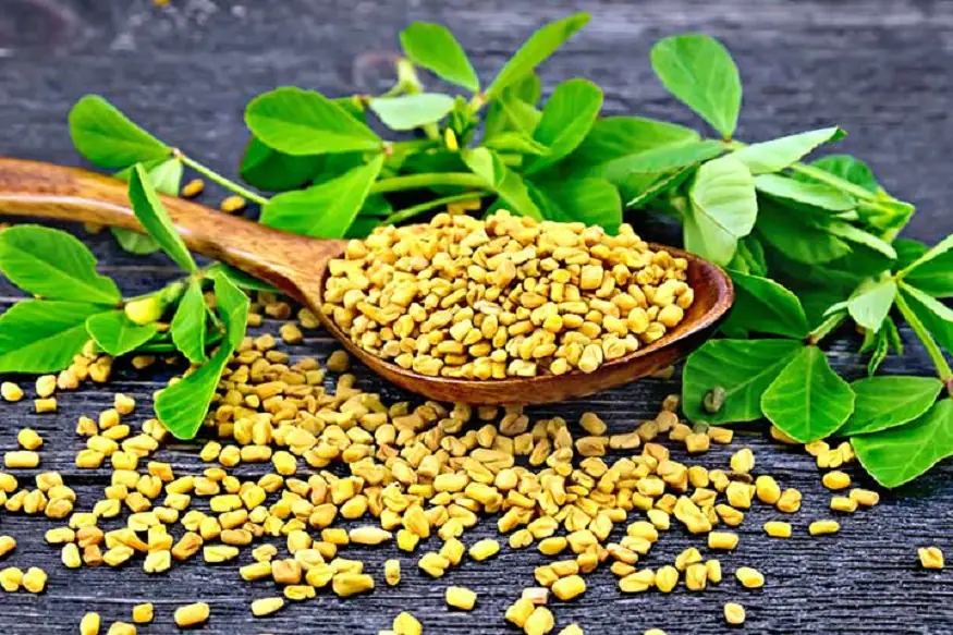 Vendhayam Benefits