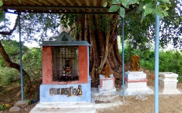 roma maharishi in varamoortheeswarar temple