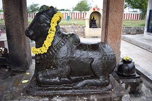 uthamarseeli shivan temple nandi
